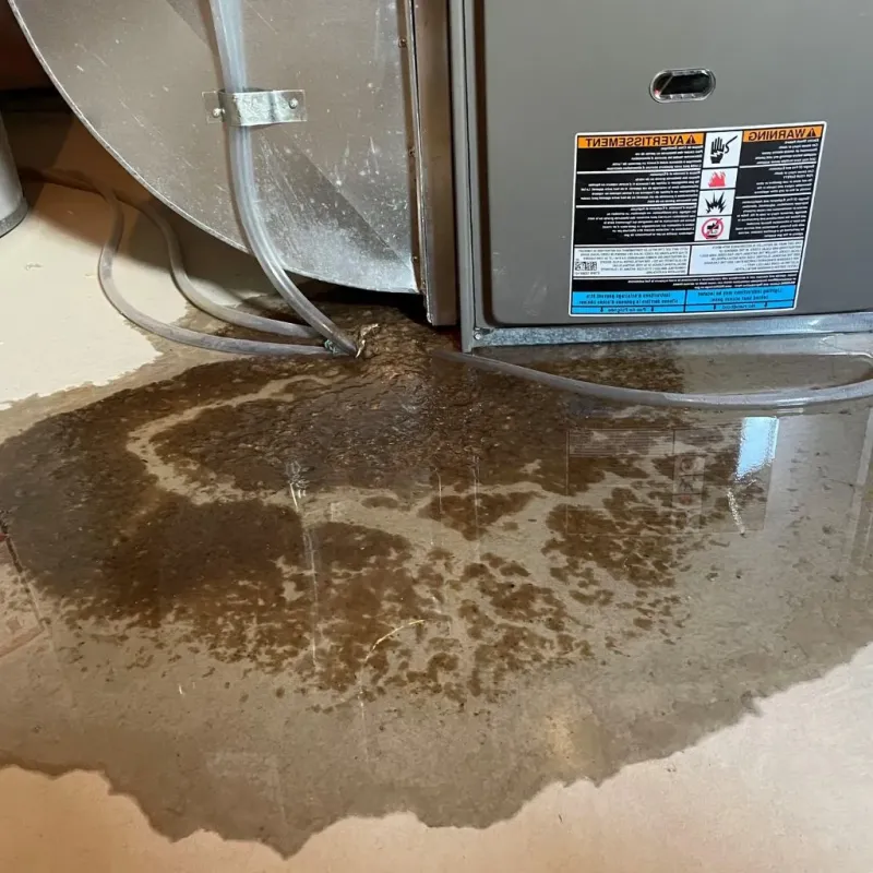 Pipe Burst and Leak Restoration in River View Park, PA